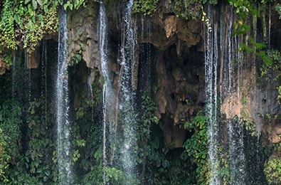 Gestión ambiental